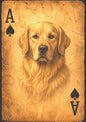 (Dogs) Playing Cards for Wide Brim Hats
