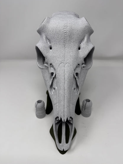 3D Printed Euro Deer Skull - Whitetail
