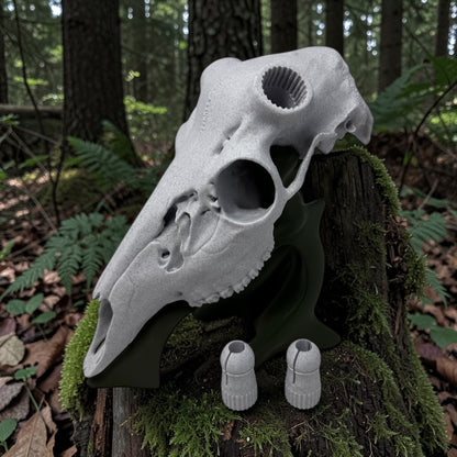 3D Printed Euro Deer Skull - Whitetail