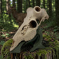 Mounts for European Skulls - 3D Printed