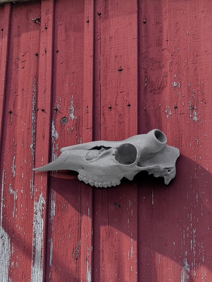3D Printed (Half) Euro Deer Skull for Shed Mounts